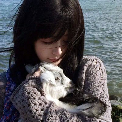 狮子狗行动